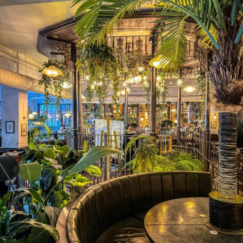 the-botanist-cardiff καναπές σε εστιατόριο και φυτά