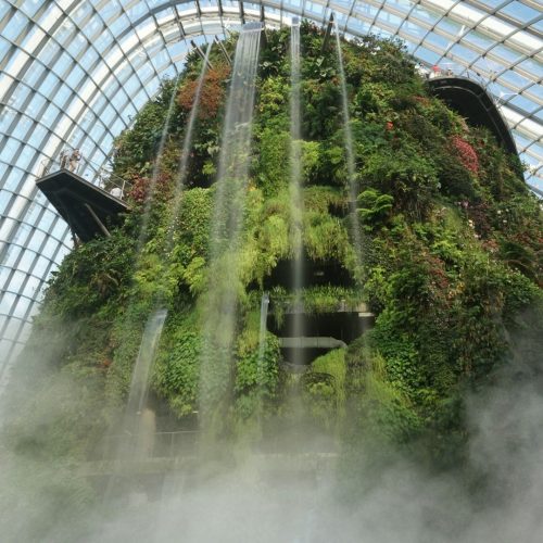 cloude-forest-singapore το flower dome στη Σιγκαπούρη