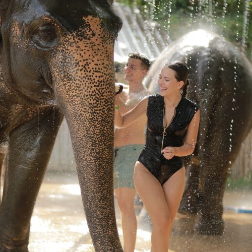 elephant-shower-thailand-mytravelgram αγόρι και κορίτσι κάνουν μπάνιο έναν ελέφαντα