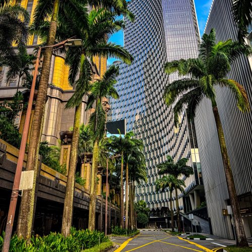 street-in-singapore δρόμος με φοίνικες στην Σιγκαπούρη