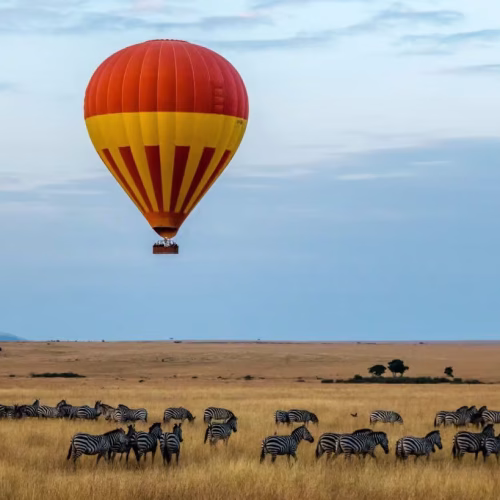 serengeti-hot-air-balloon πτήση με αερόστατο πάνω από το εθνικό πάρκο Σερενγκέτι